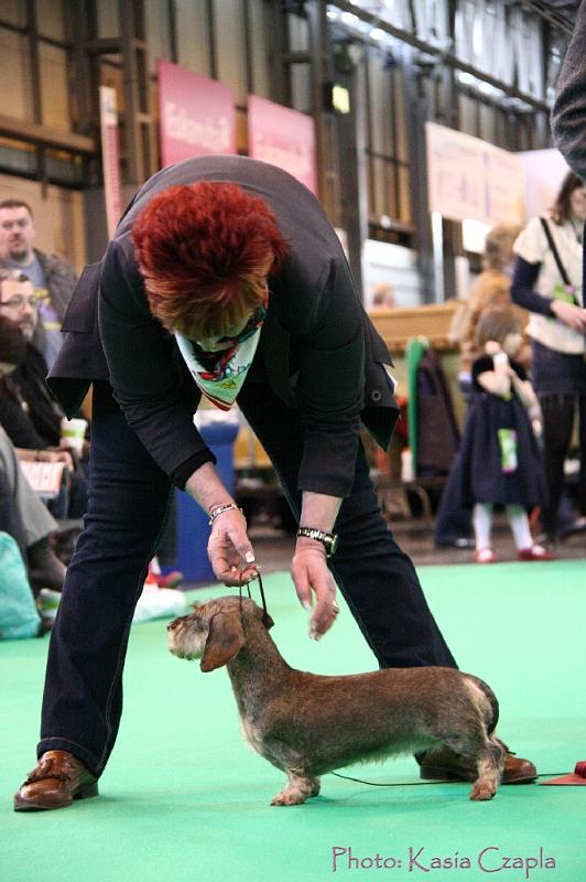 Crufts2011_2 1566.jpg